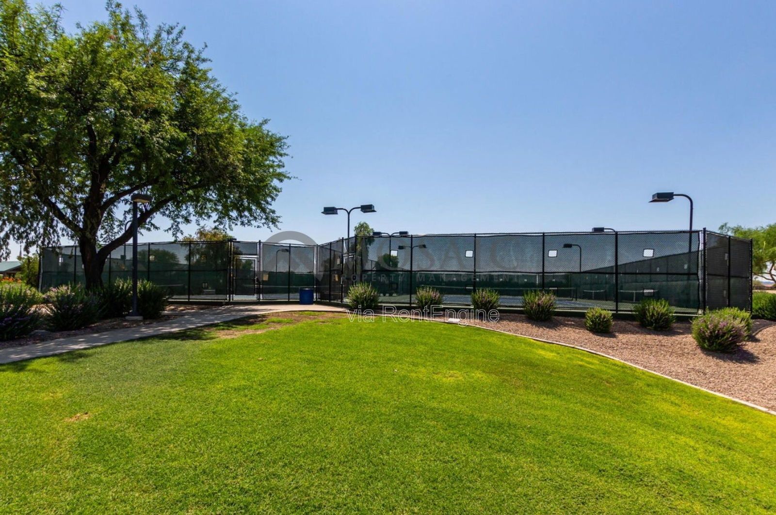 Beautiful 4 Bedroom 2 Bathroom Home in Johnson Ranch! property image