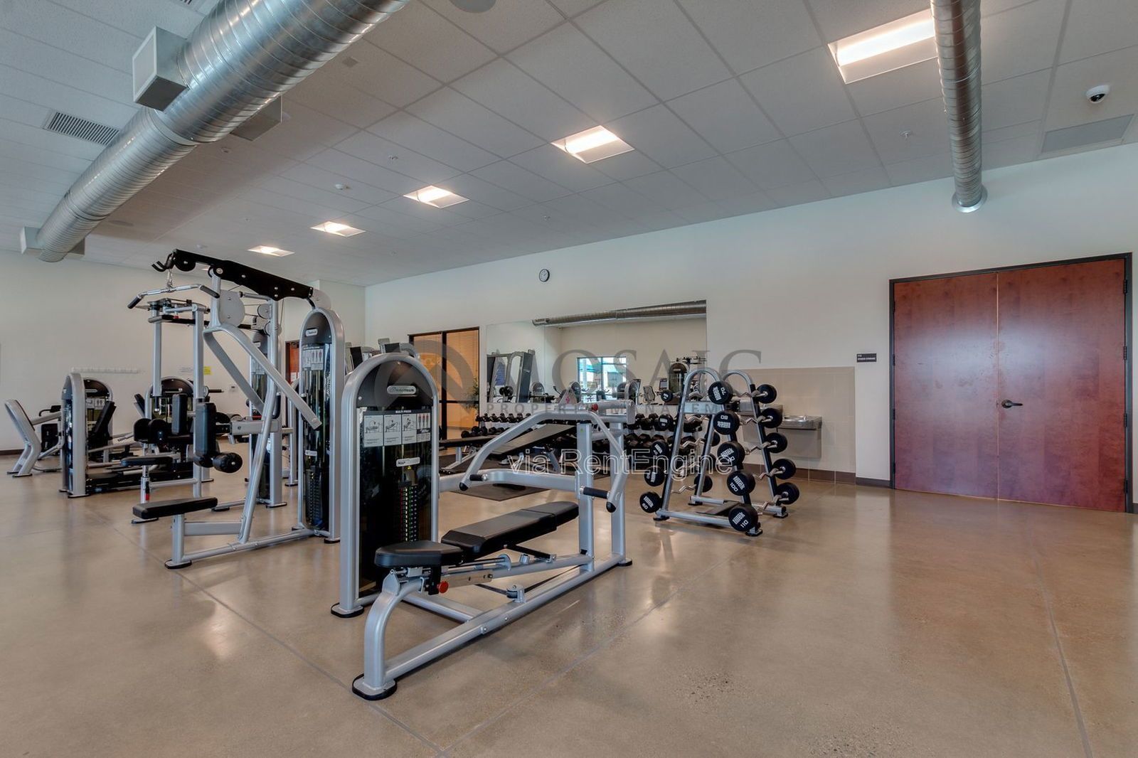 Great Home in San Tan Heights!! property image