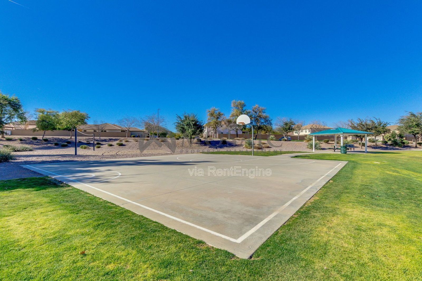 Great Home in San Tan Heights!! property image