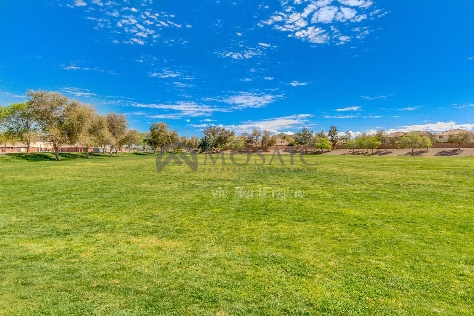 Great Home in San Tan Heights!! property image