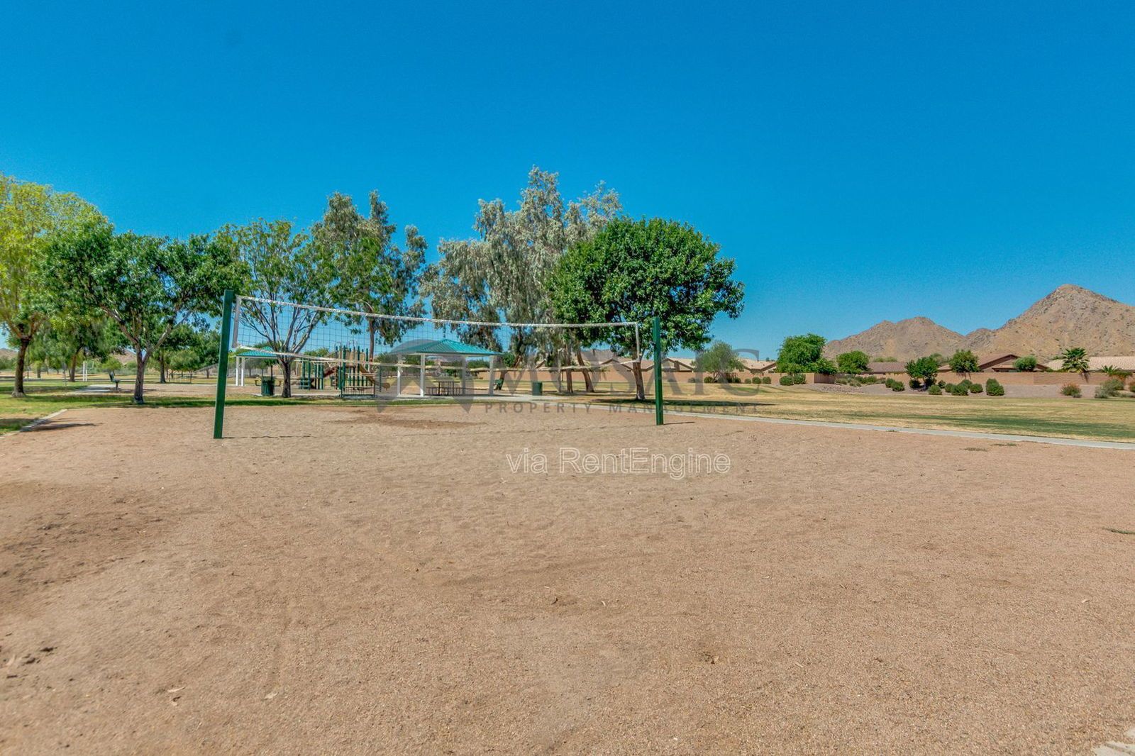 Great Home in San Tan Heights!! property image