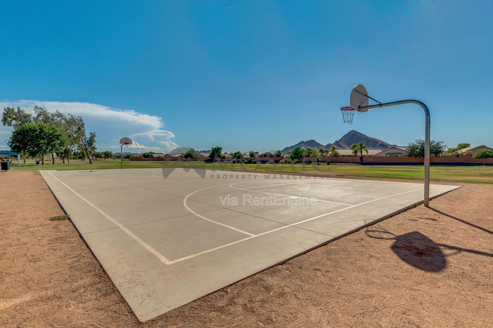 Great Home in San Tan Heights!! property image