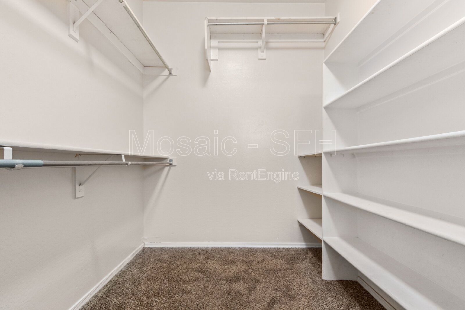 Adorable 3 bed/2 bath PLUS DEN! Come see today! property image