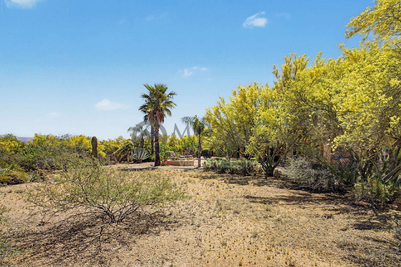Beautiful 1.3 Acre Desert Oasis! property image