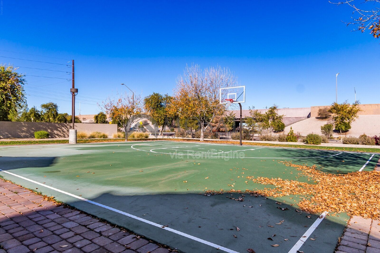 Amazing 3 bed, 2 bath home in Gilbert! property image