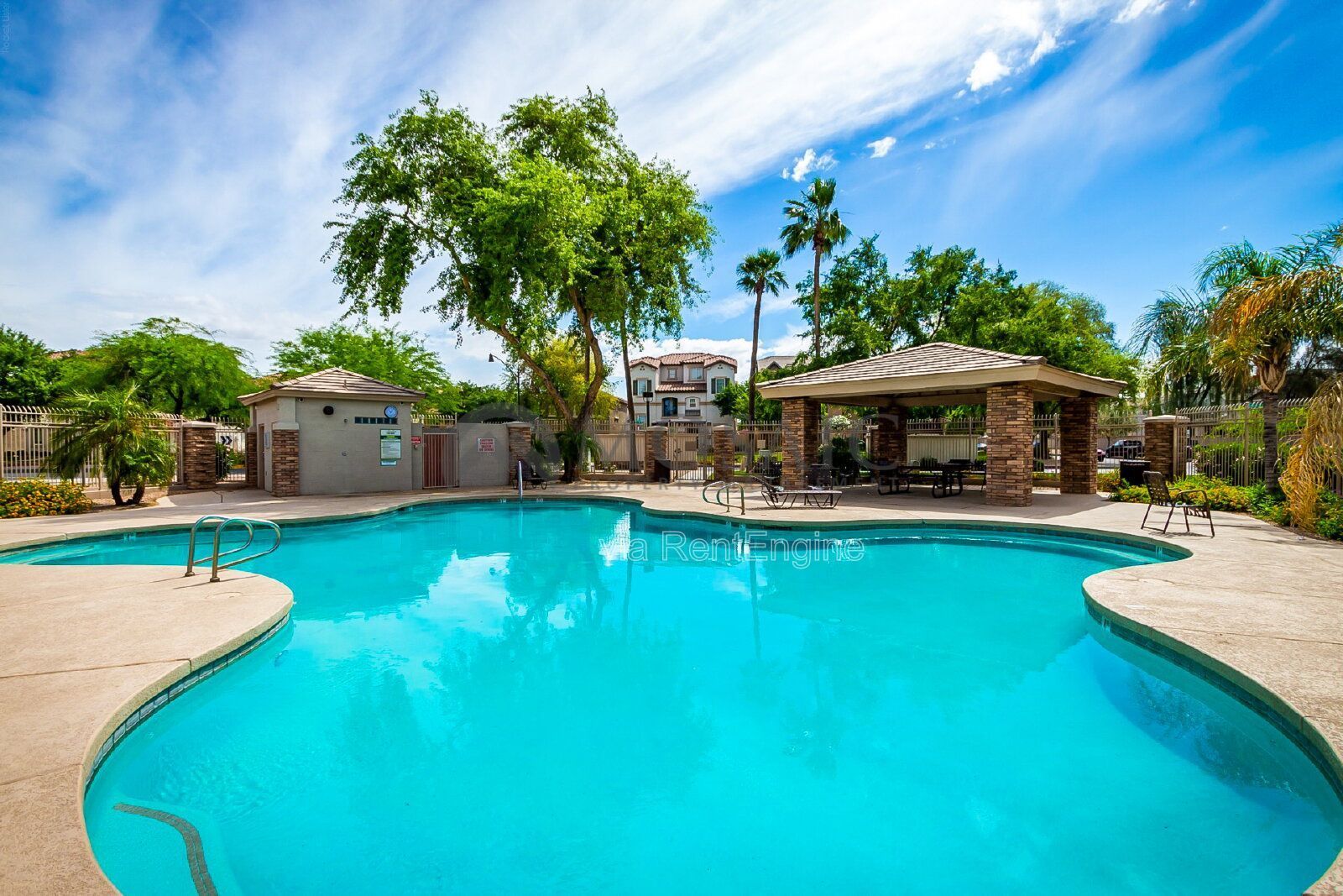 Amazing 3 bed, 2 bath home in Gilbert! property image