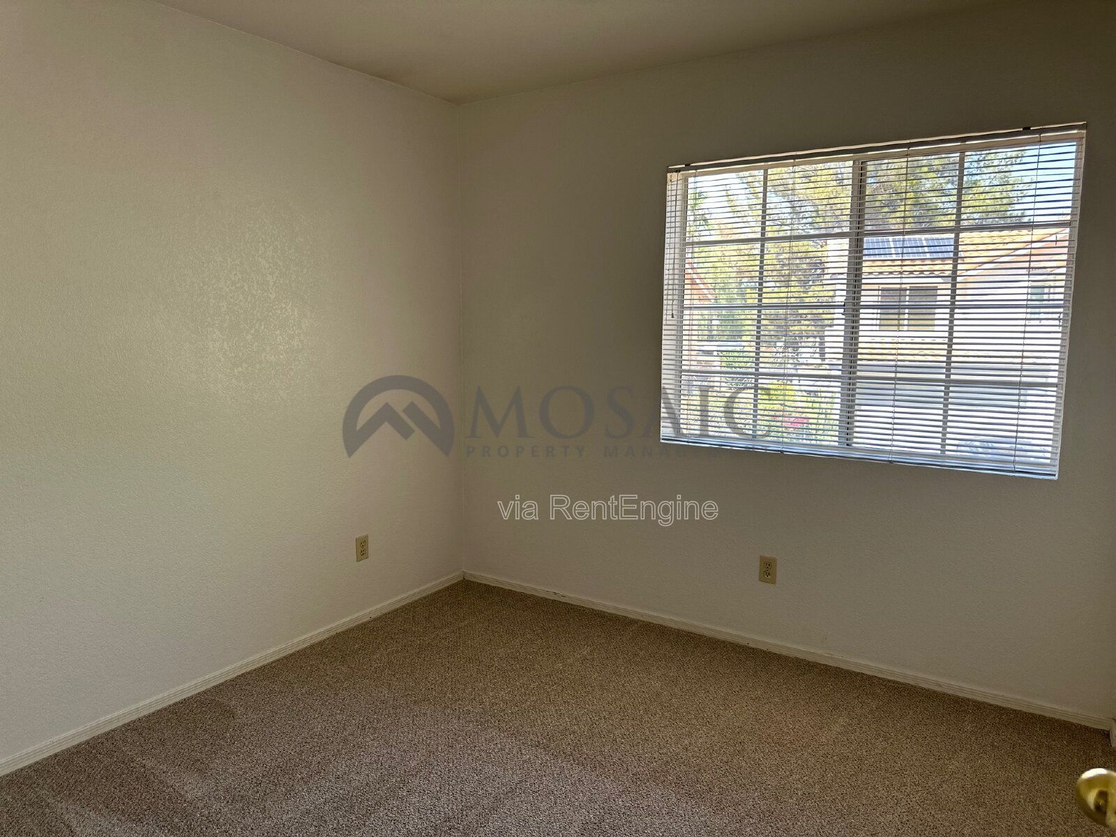 Spacious Home in Prime Chandler Neighborhood! property image