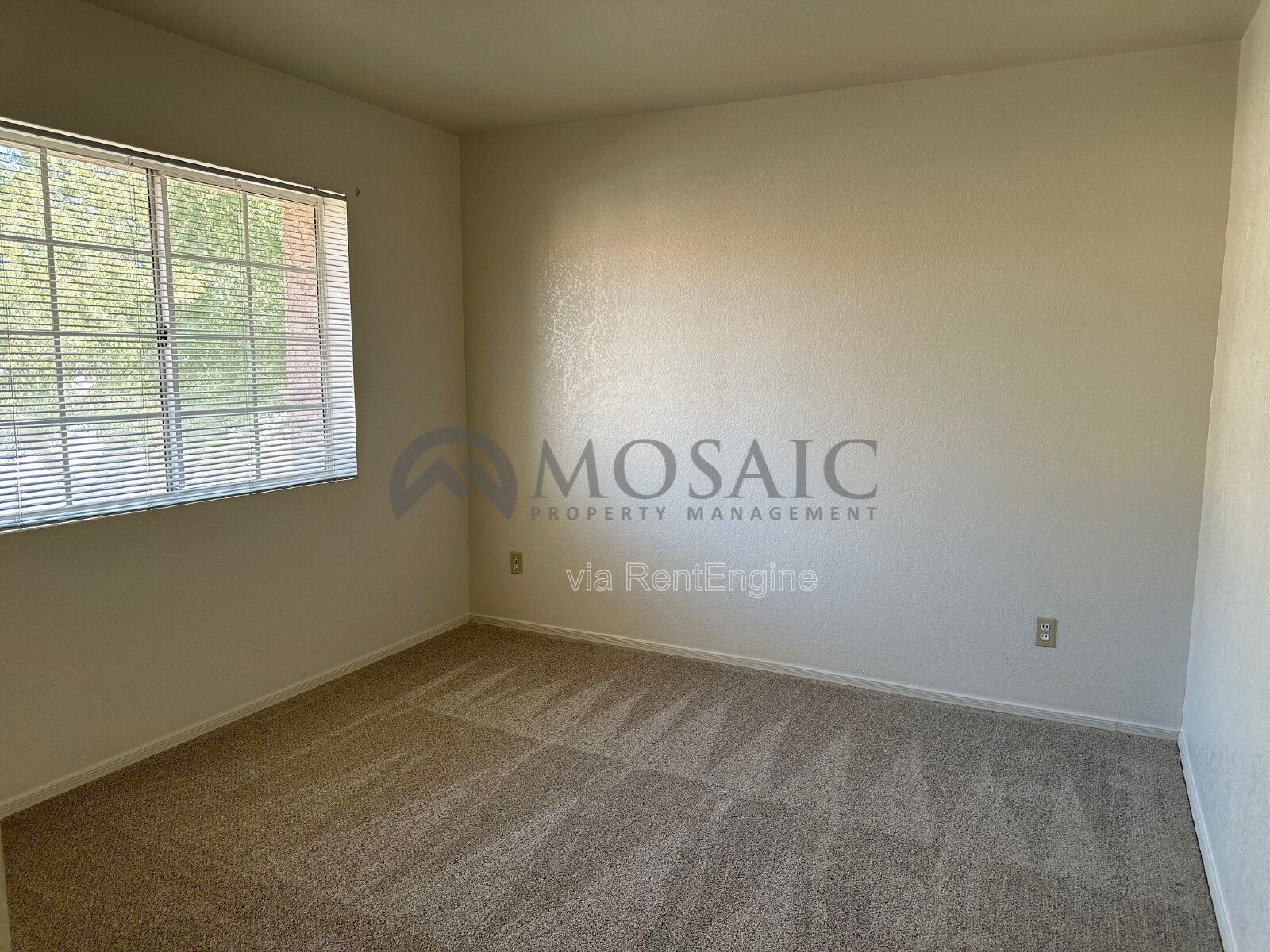 Spacious Home in Prime Chandler Neighborhood! property image