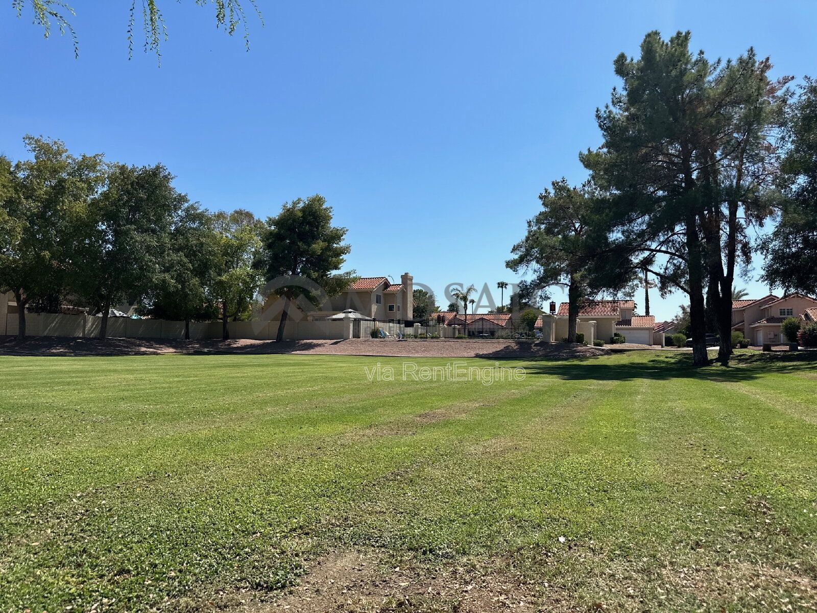 Spacious Home in Prime Chandler Neighborhood! property image