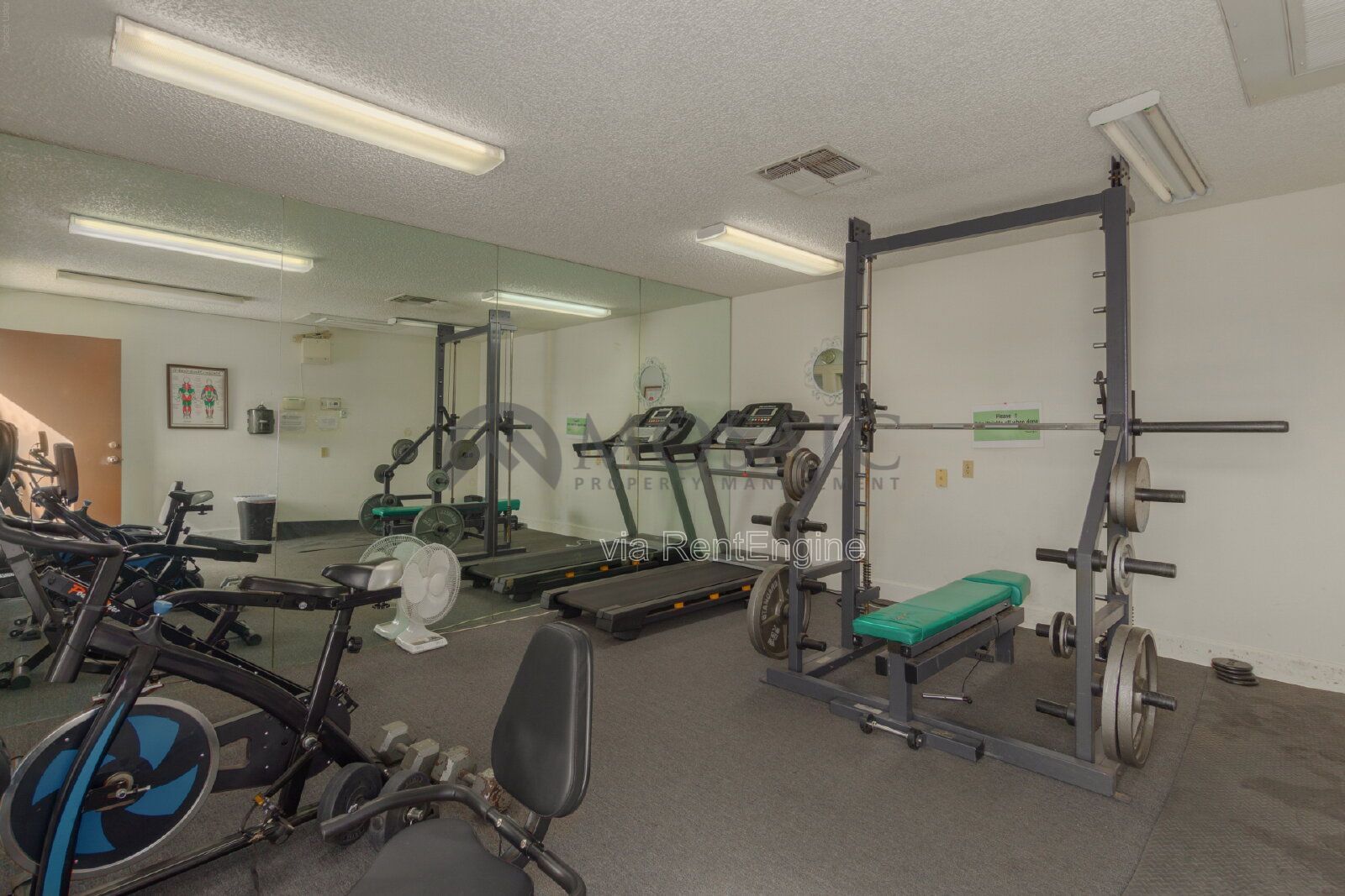 Beautiful 2 bed/2bath condo! property image