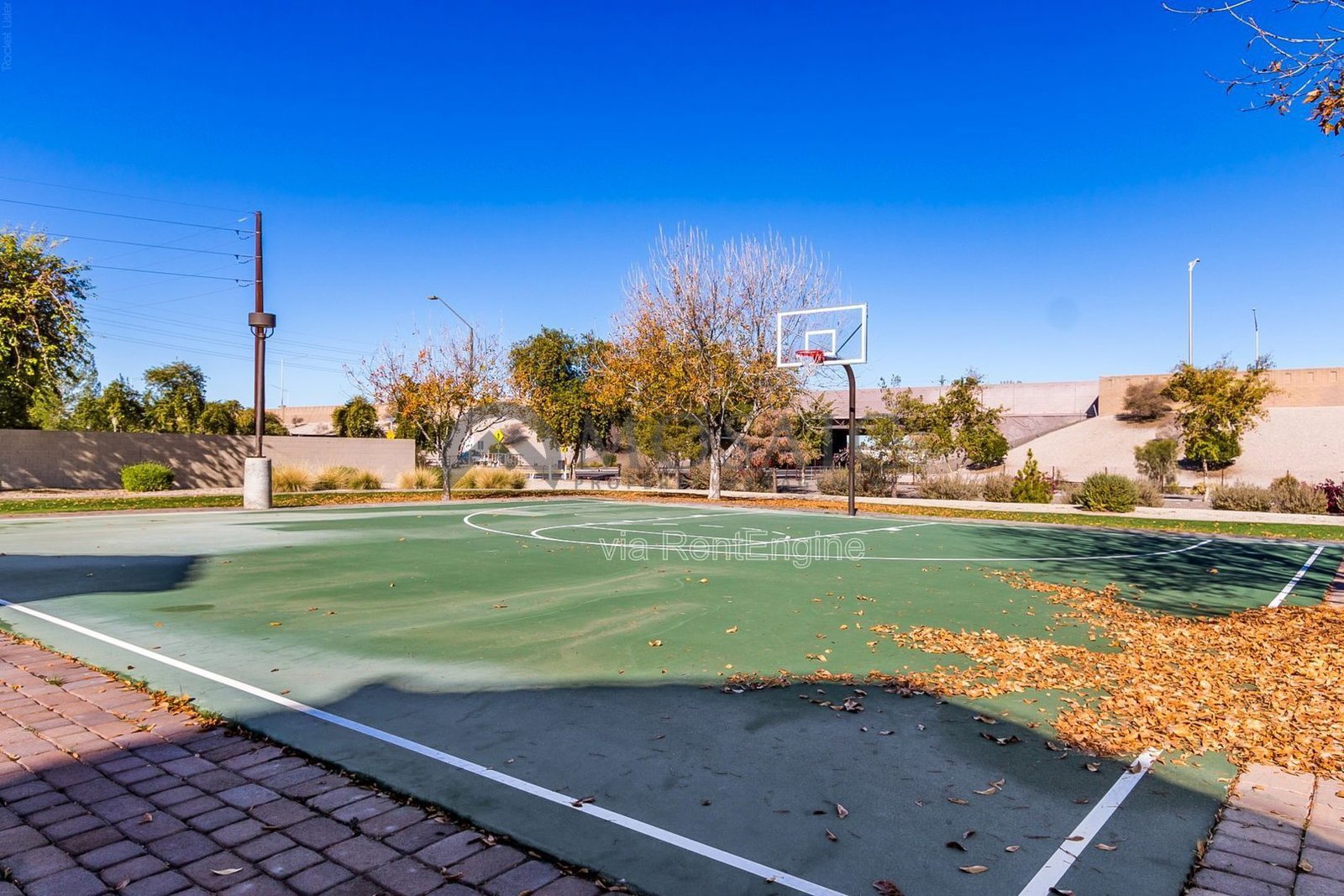 Amazing 3 bed, 2 bath home in Gilbert property image