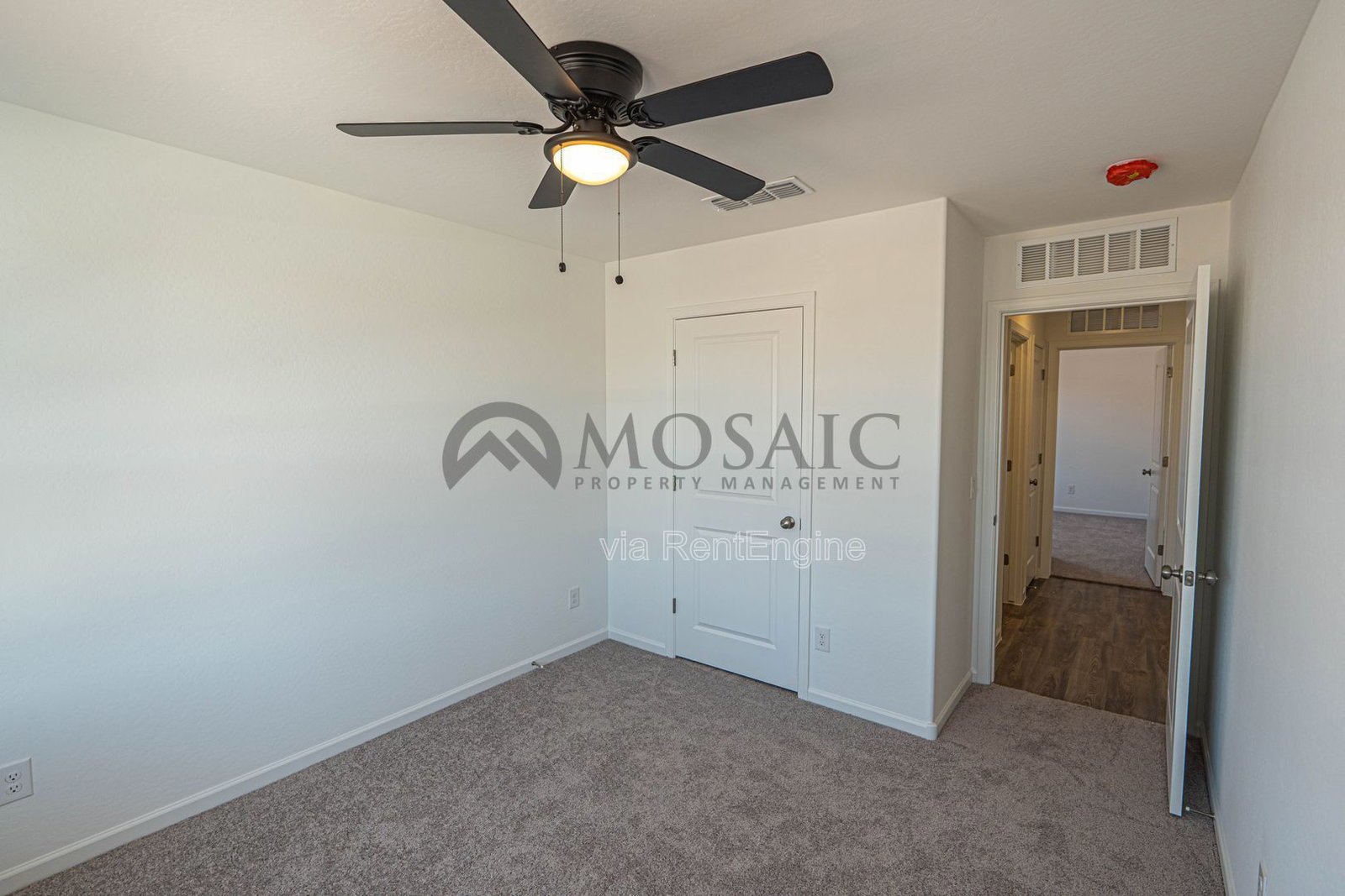 BRAND NEW! 4 bed/2 bath in Casa Grande property image