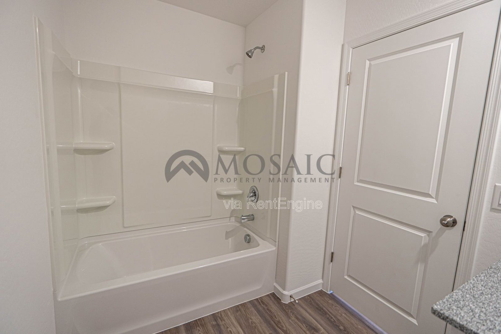 BRAND NEW! 4 bed/2 bath in Casa Grande property image