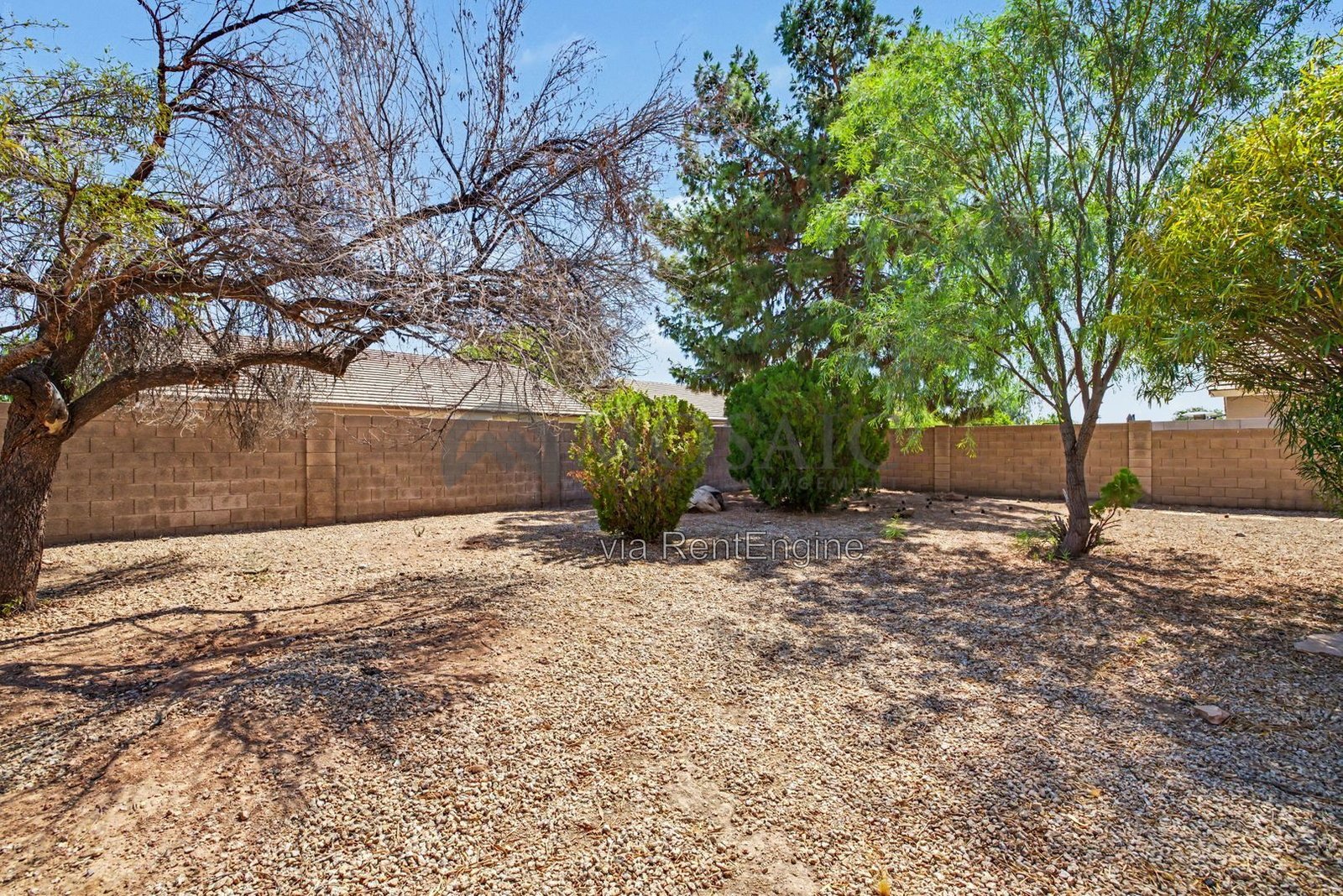 Newly upgraded Finley Farms 3 bed/2 bath With HUGE BACKYARD! property image