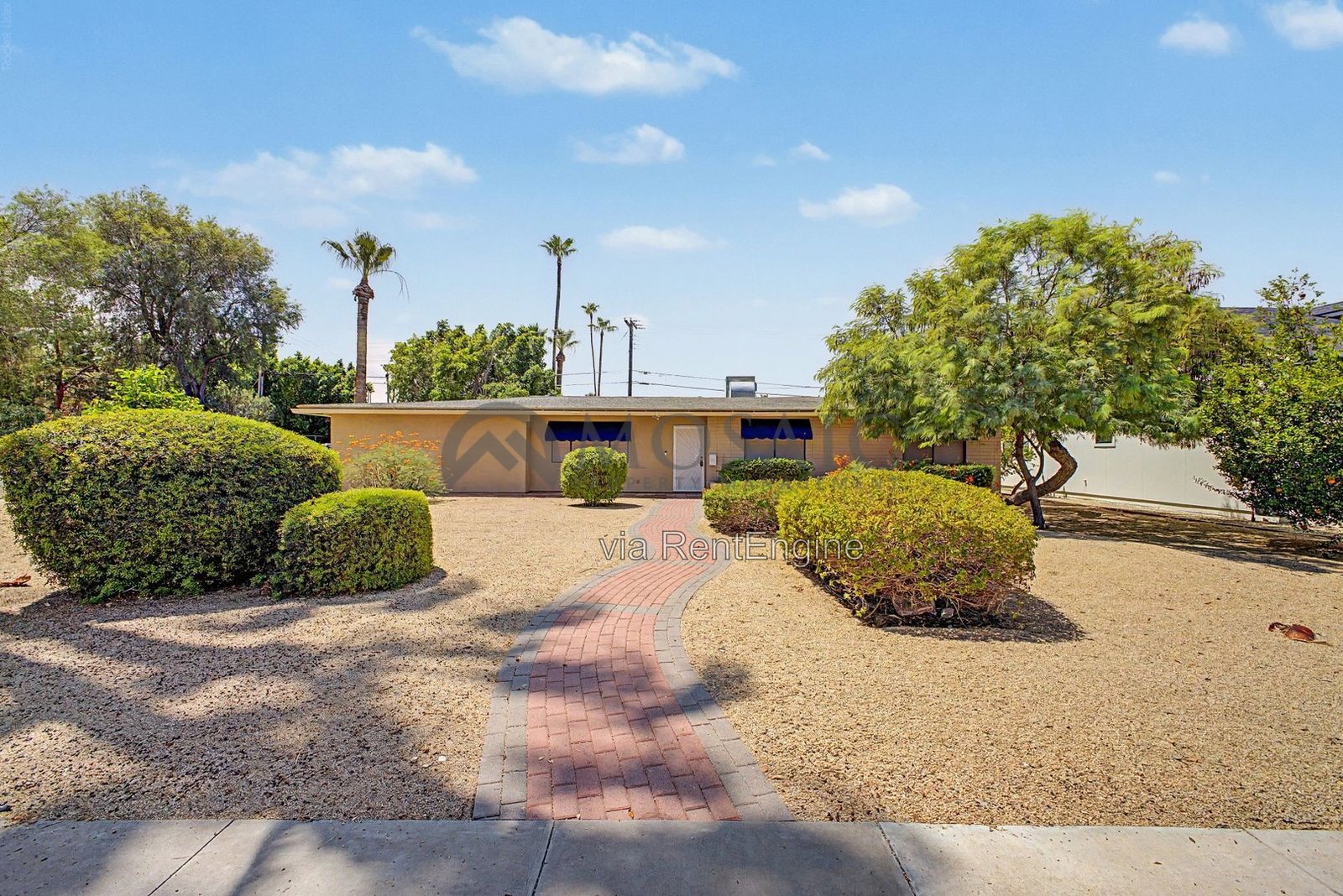 Sunshine, splashing, and a backyard built for it! property image