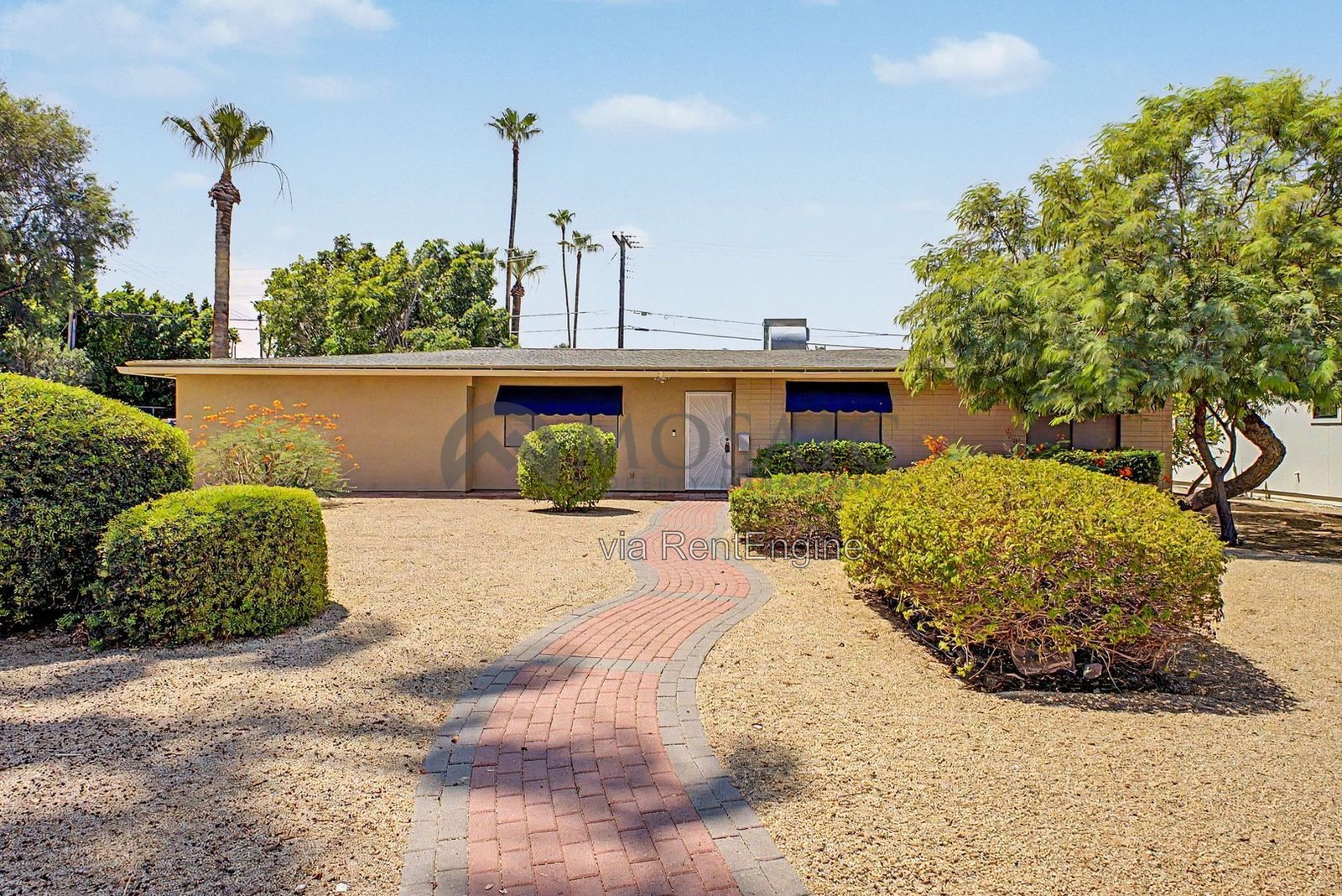 Sunshine, splashing, and a backyard built for it! property image