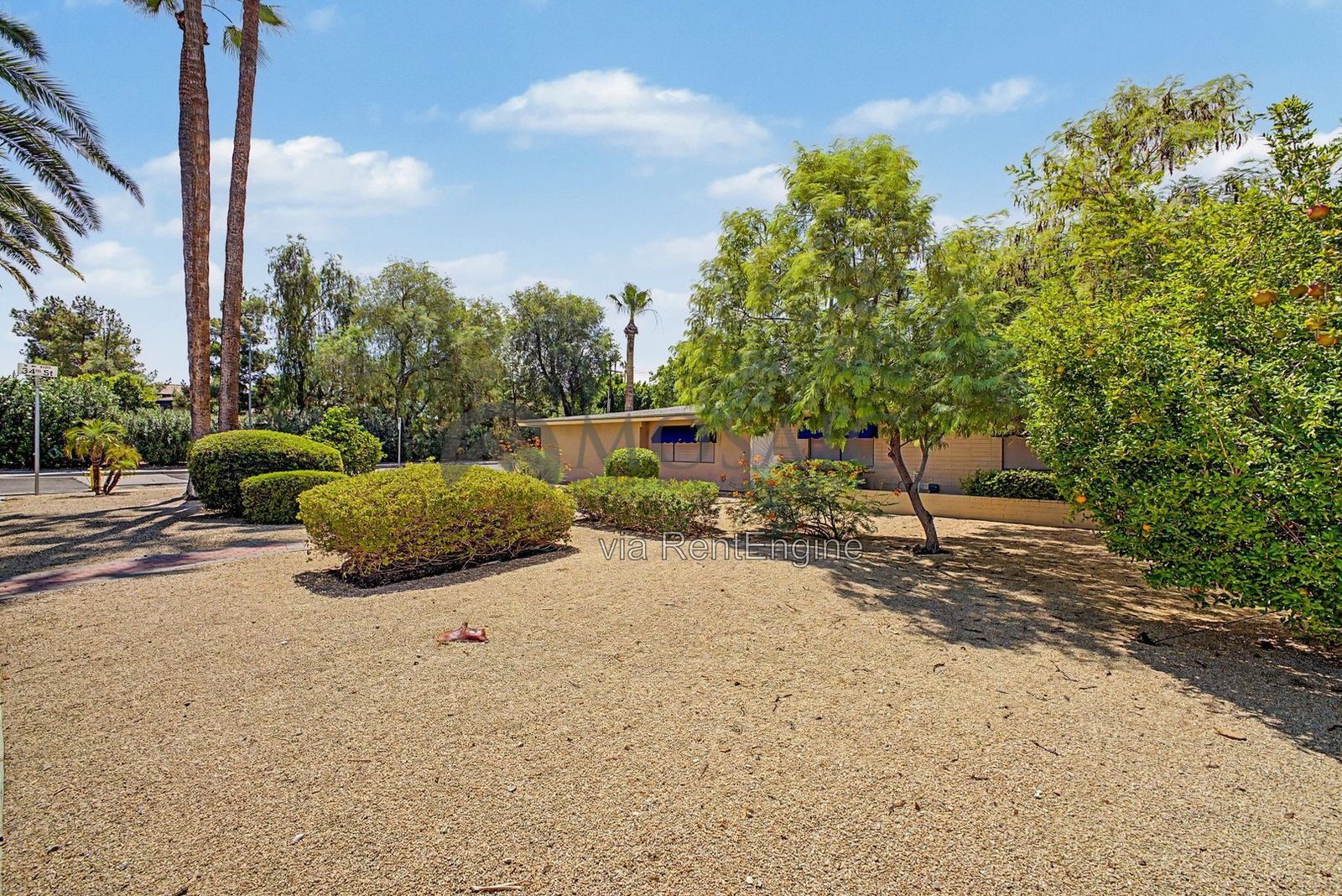 Sunshine, splashing, and a backyard built for it! property image