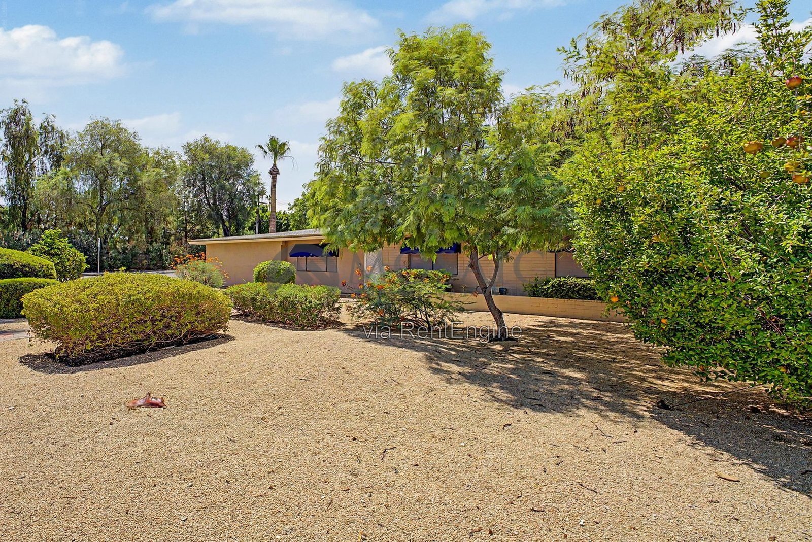Sunshine, splashing, and a backyard built for it! property image