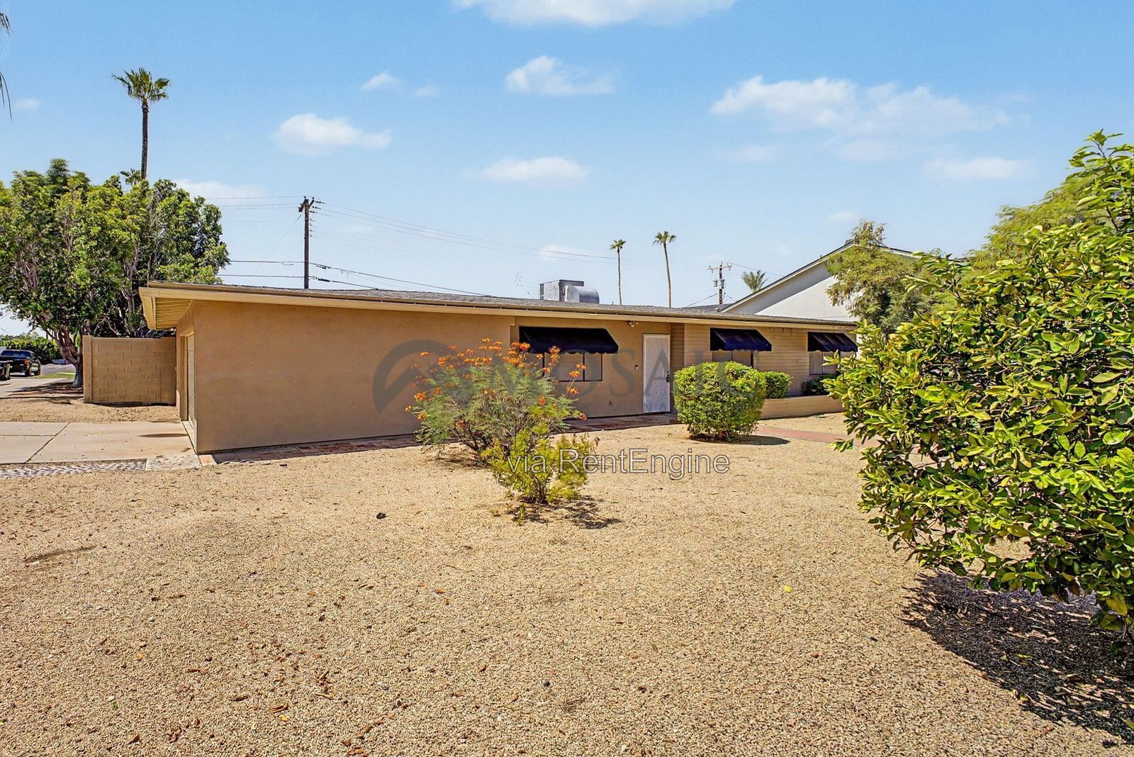 Sunshine, splashing, and a backyard built for it! property image