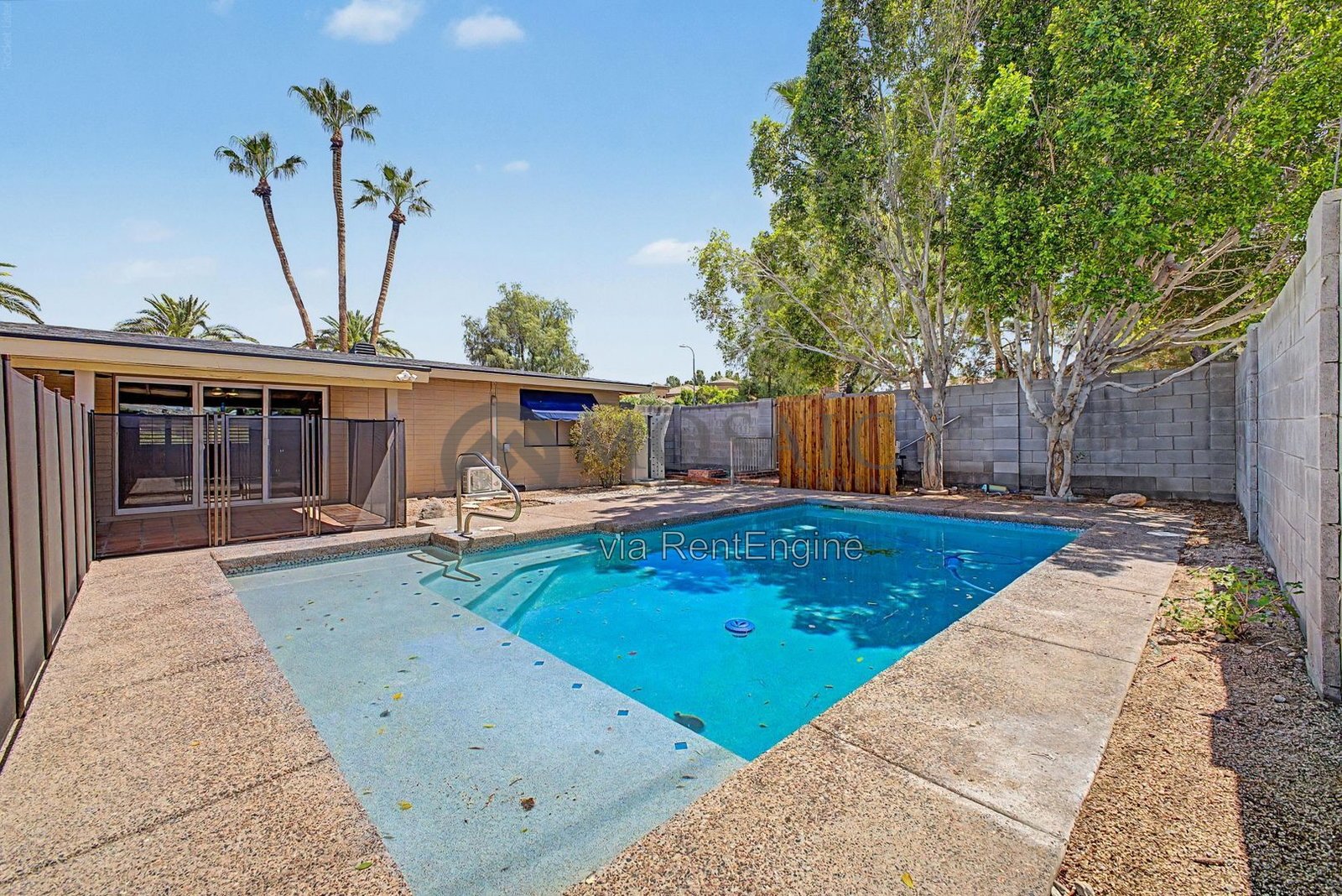 Sunshine, splashing, and a backyard built for it! property image