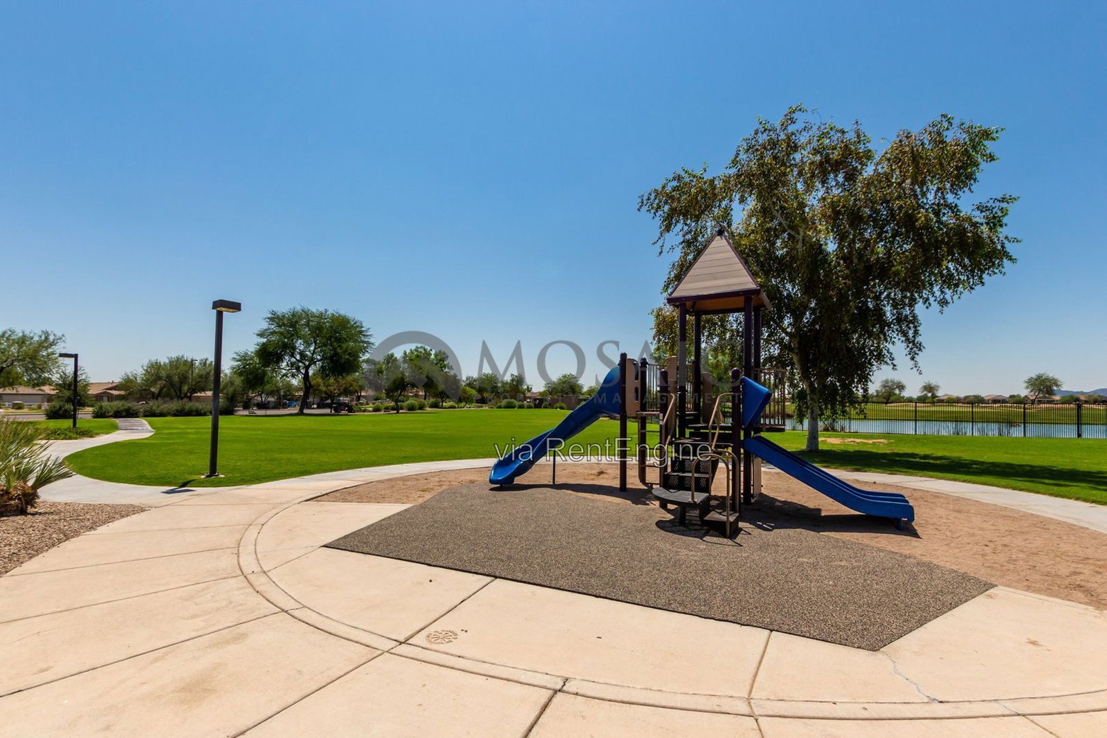 Perfect 3 bed/2 bath home in Johnson Ranch! property image