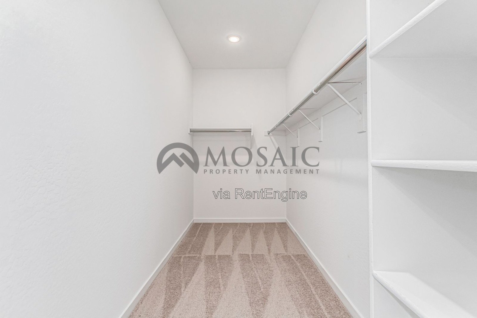 CHARMING MODERN 3 bed/2bath home! property image