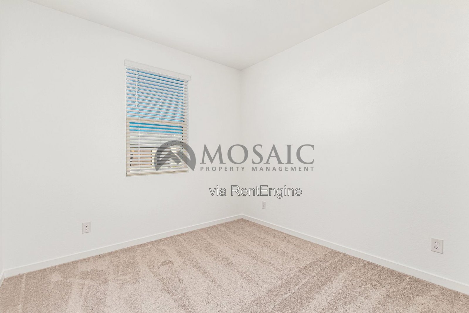 CHARMING MODERN 3 bed/2bath home! property image