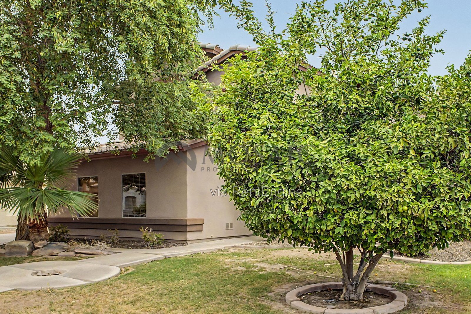 5 Bedroom in Chandler with Pool!! property image