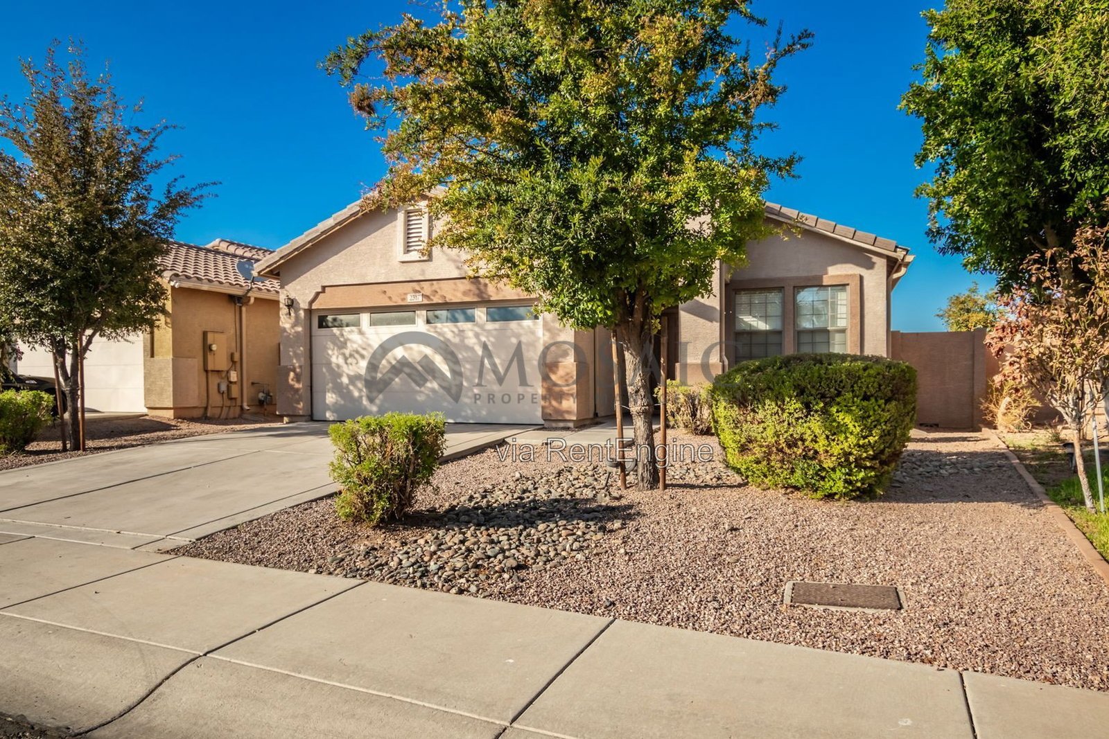 4Bed/2Bath on PREMIUM LOT!! property image