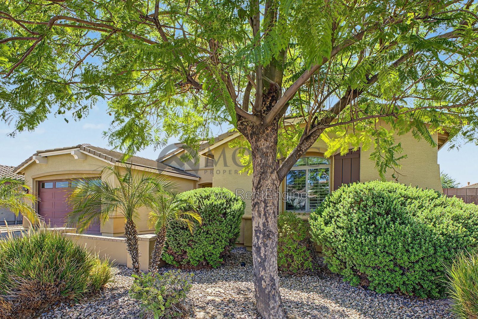 Upgrades, large lot, pool, walk in closets! property image